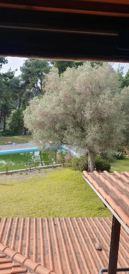 Nikol Villa Elani Siviri Exteriér fotografie